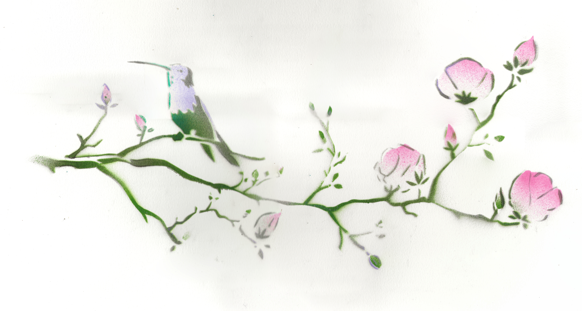 Humming Bird — original scan
